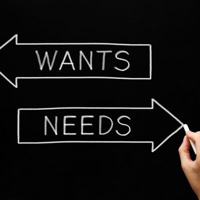 wants vs needs examples