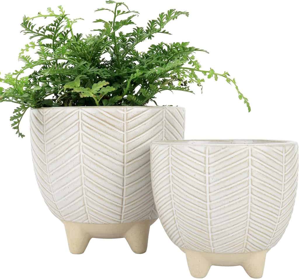 ceramic planter