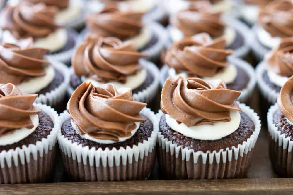 chocolate cupcakes